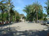 0035.jpeg (82449 octets)